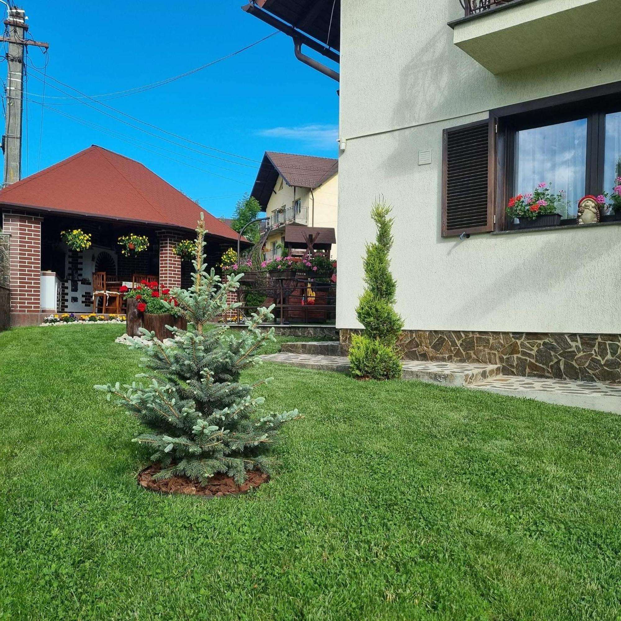 Pensiunea Select Куртя-де-Арджеш Екстер'єр фото