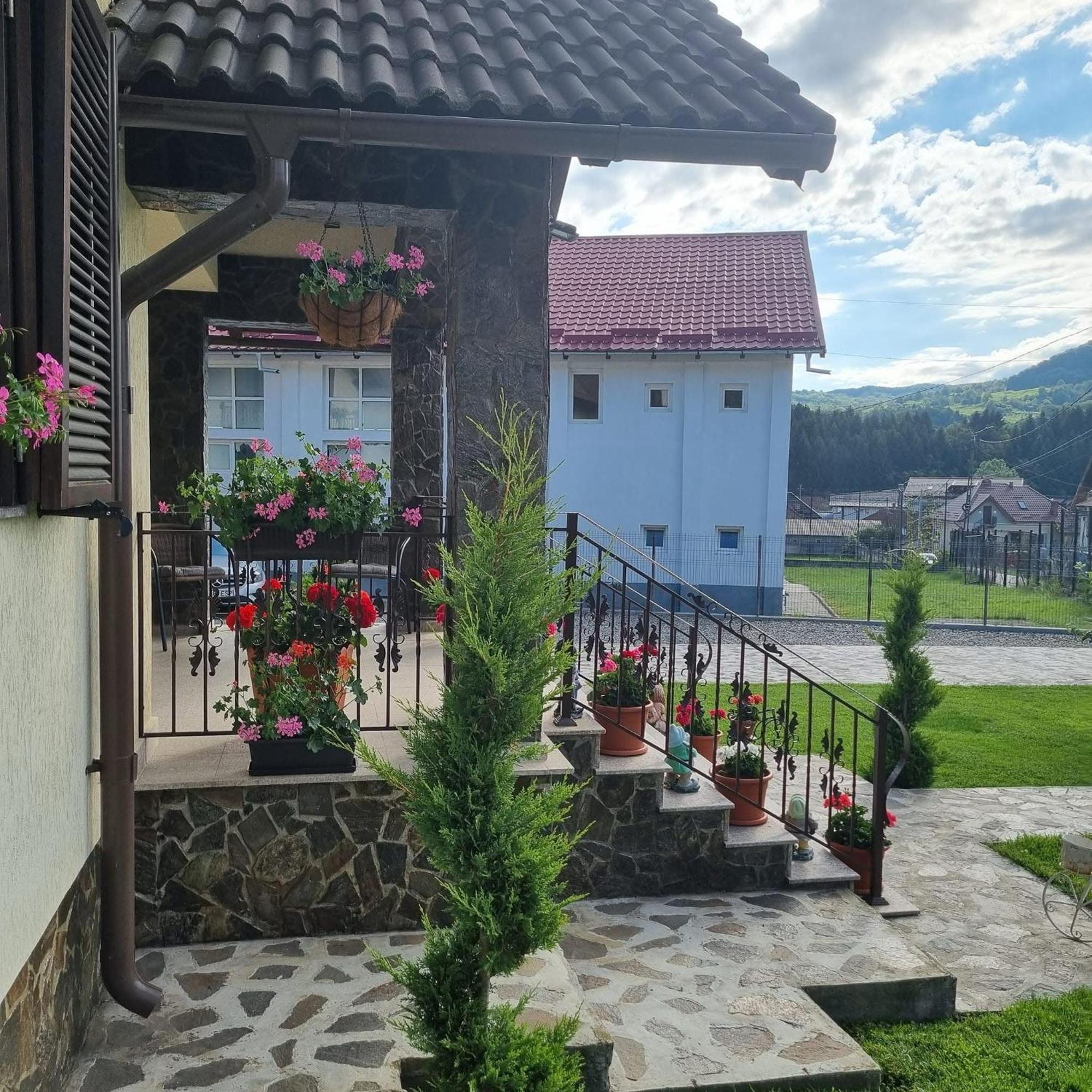 Pensiunea Select Куртя-де-Арджеш Екстер'єр фото